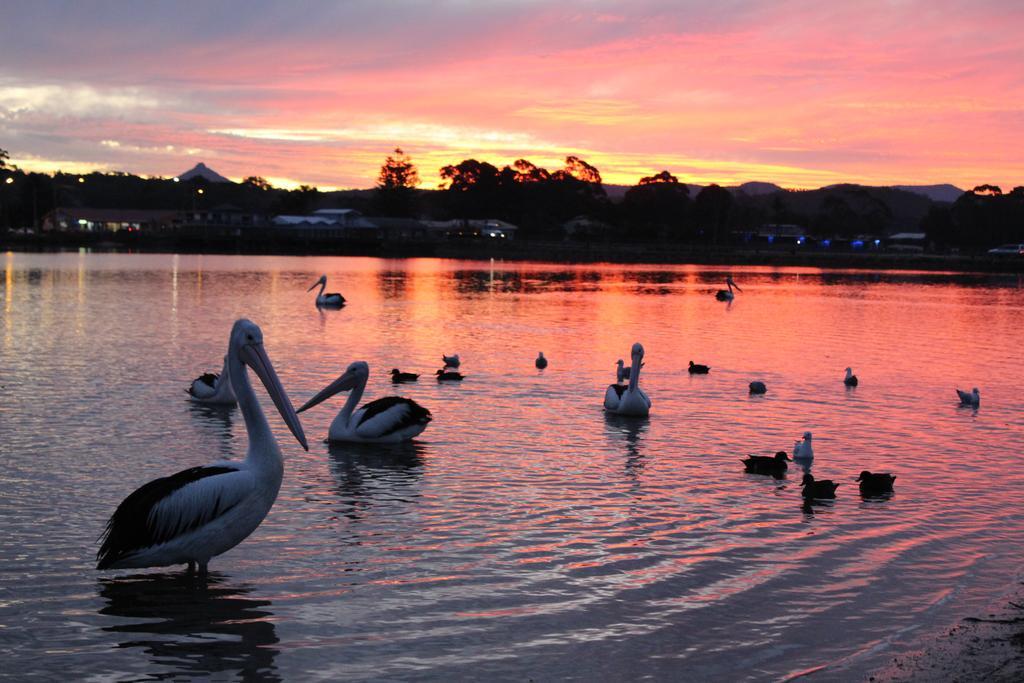 Holiday Haven Burrill Lake Extérieur photo